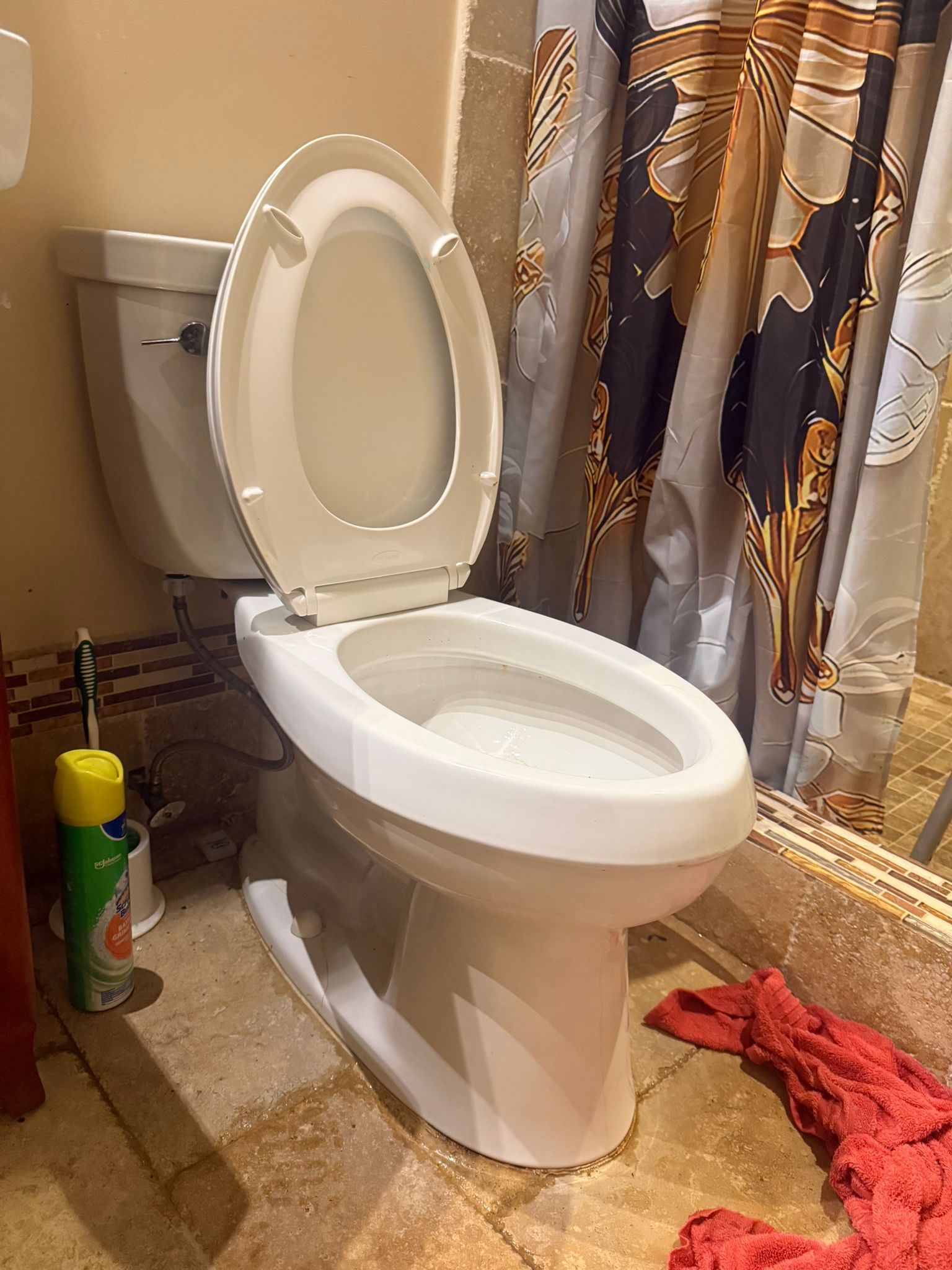 Plumbing Leak